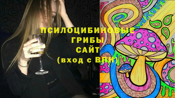 ECSTASY Вяземский