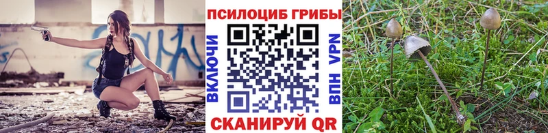 купить наркотики сайты  Луза  Галлюциногенные грибы MAGIC MUSHROOMS 